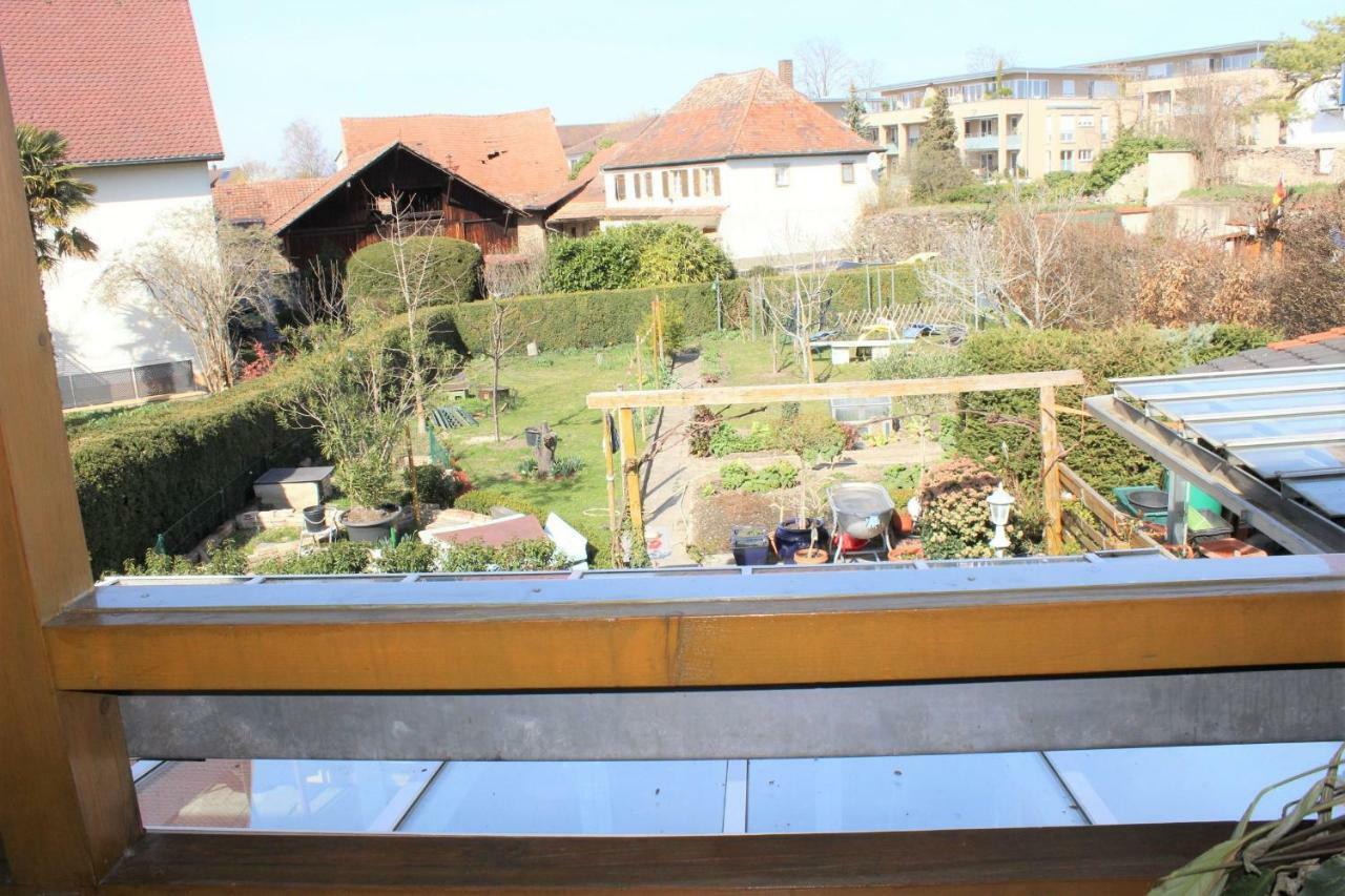 Gastehaus Thoma Appartamento Breisach Esterno foto